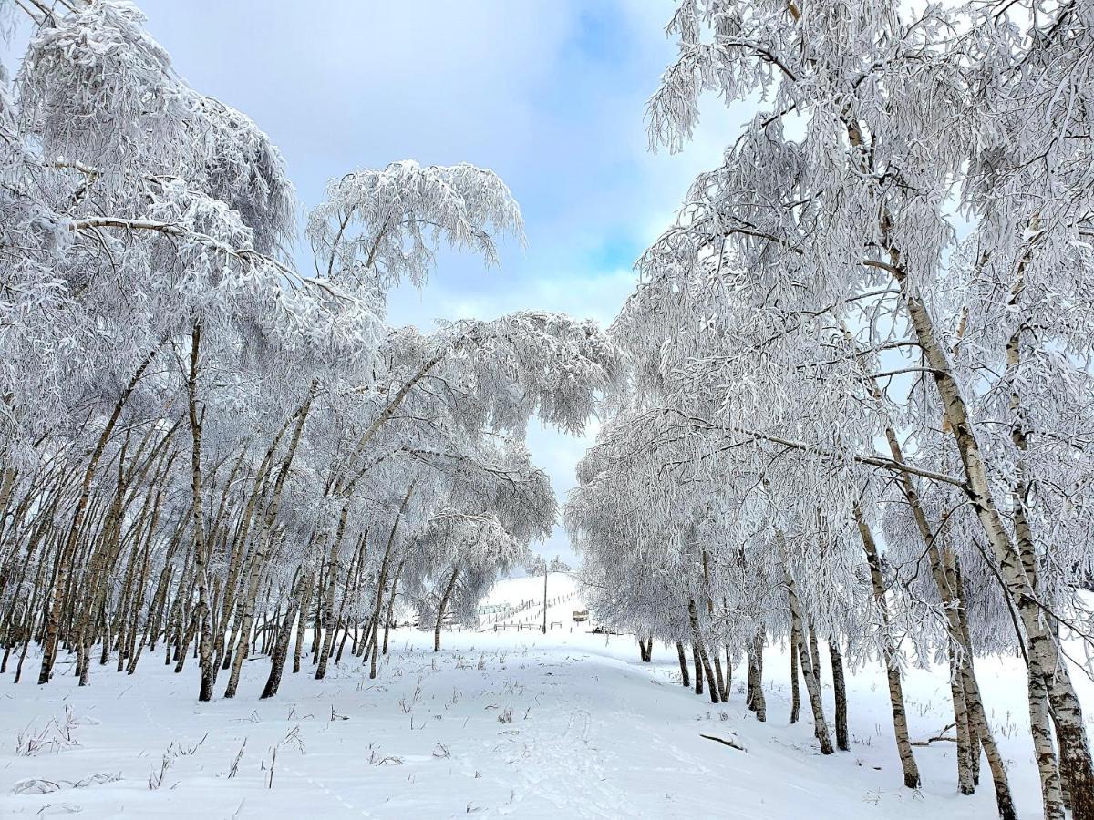 Chata Waliszow Nowy Waliszow Exteriör bild