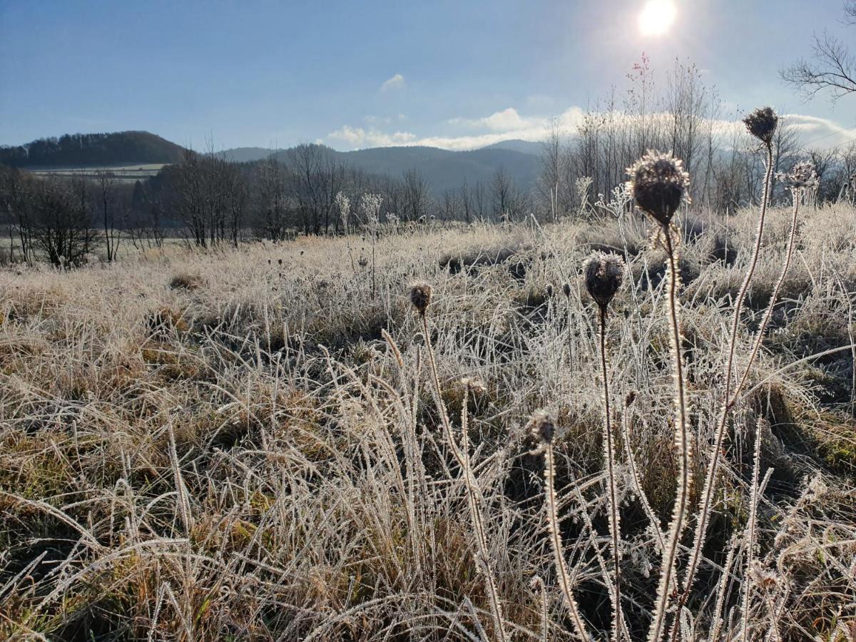 Chata Waliszow Nowy Waliszow Exteriör bild
