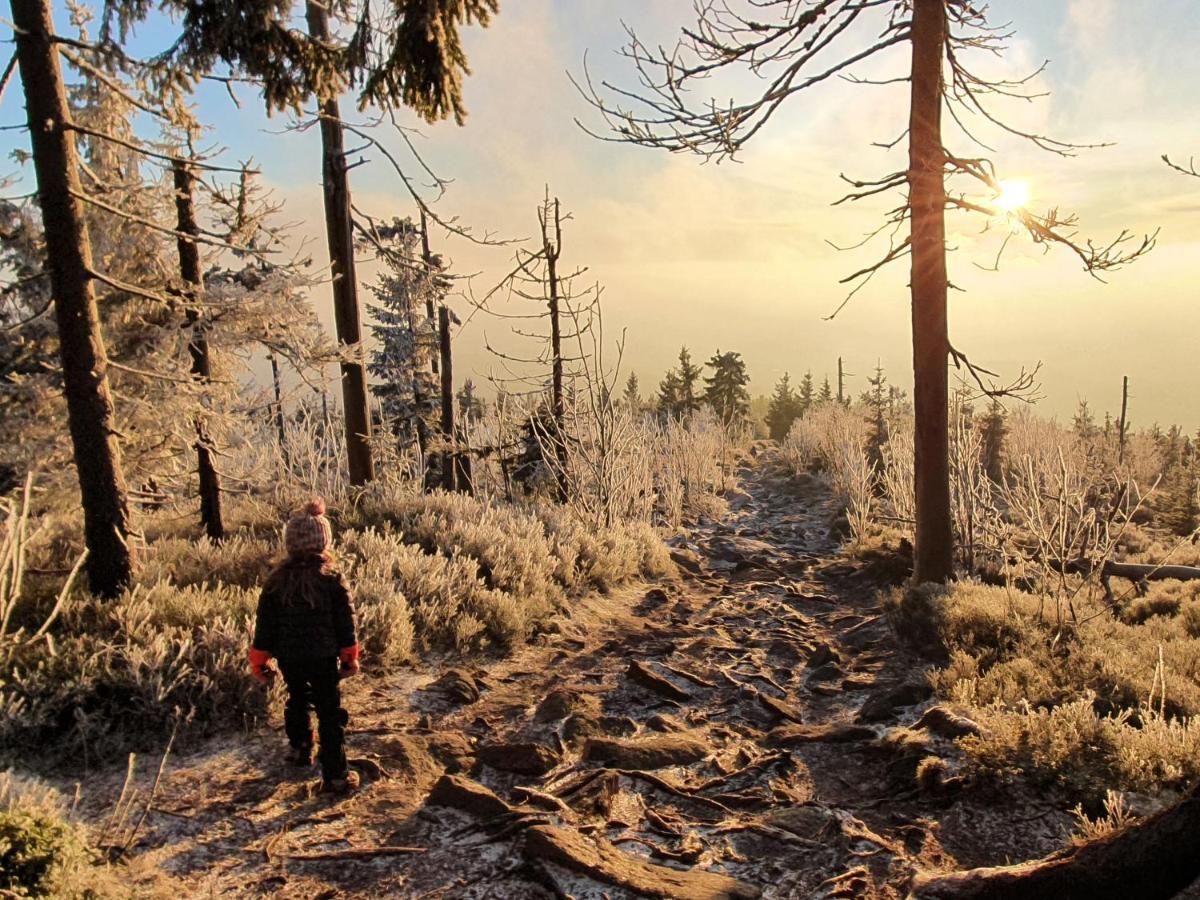 Chata Waliszow Nowy Waliszow Exteriör bild