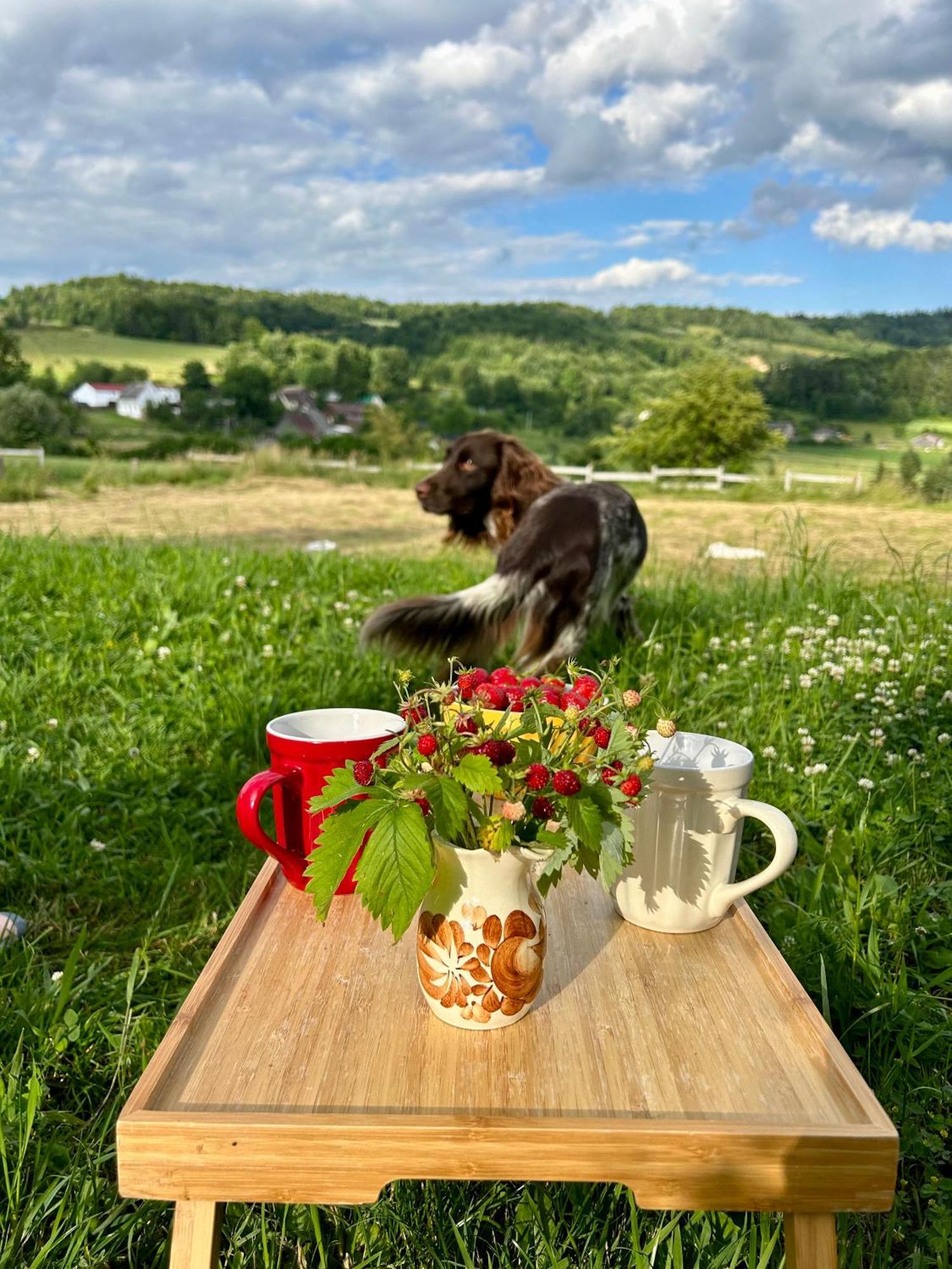 Chata Waliszow Nowy Waliszow Exteriör bild